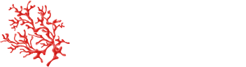 Logo White - Corallisa Ibiza Signature Homes